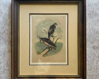 1881 Jacob H Studer chromolithograph--19" by 22" (1 of 2)