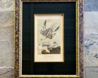 1850s Audubon 14" by 19" from Taylor Clark (1 of 4)
