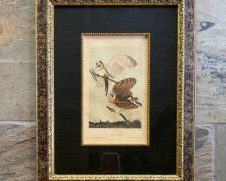 1850s Audubon 14" by 19" from Taylor Clark (4 of 4)
