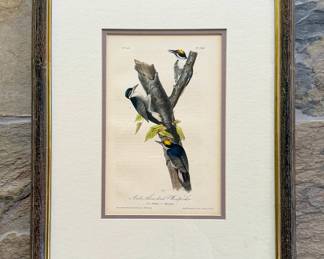 Original 1844 Audubon Hand-Colored Artic Three-Toed Woodpecker in Octavo size. Originally purchased and framed at Taylor-Clark. $300.