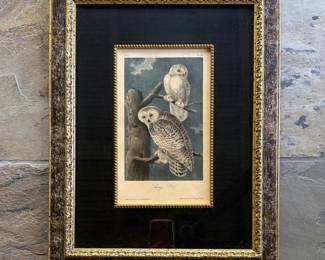 1850s Audubon 14" by 19" from Taylor Clark (3 of 4)
