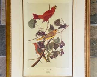 Pair of Audubon Havel reprints in heavy wood frame--31" by 42" (1 of 2)