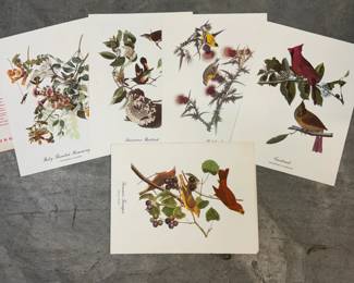 Audubon reprints