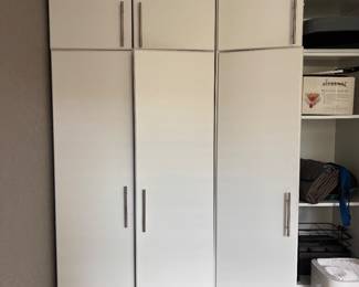 Garage cabinet /shelving 