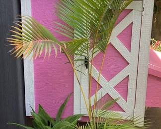 MCJ155 Palm Plant & Another Plant