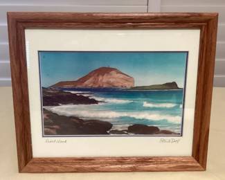 MCJ110 Framed Rabbit Island Picture By Patrick Doell