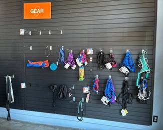 Dog gear