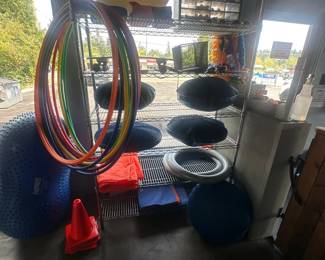 Dog training supplies