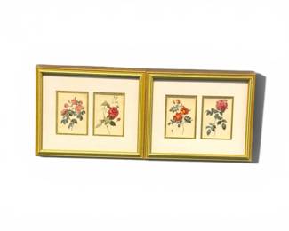199 BotanicalRosePrintsIntheStyleofPierreJosephRedout
