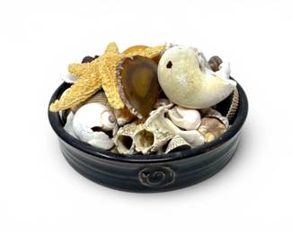 141 StudioPotteryBowlwSeashellCollectionStarfishSigned