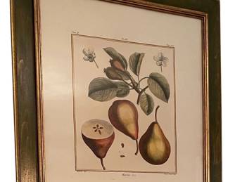 Botanical