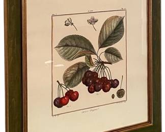 Botanical