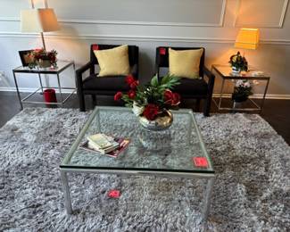 Large Area Rug, Glass/Metal Tables