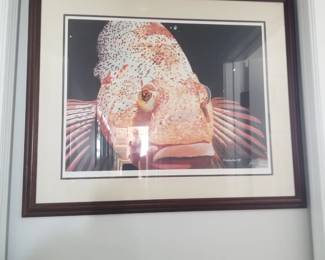 Framed fish art