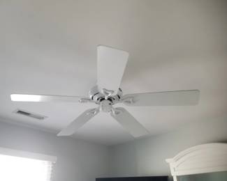Ceiling fan