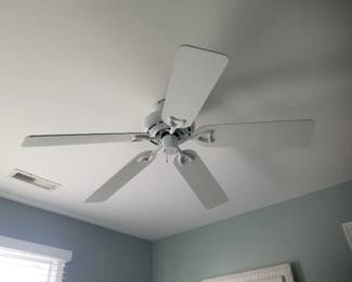 Ceiling fan