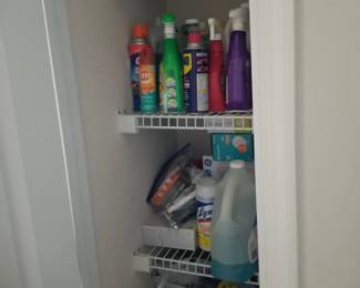 Household cleaning supplies