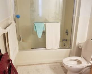 Glass shower doors