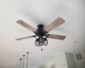 Lighted ceiling fan