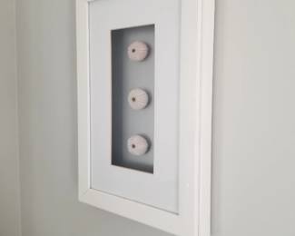 Framed sea urchins