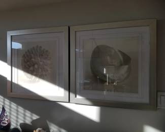 Framed shell art
