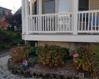 Plants; vinyl railing