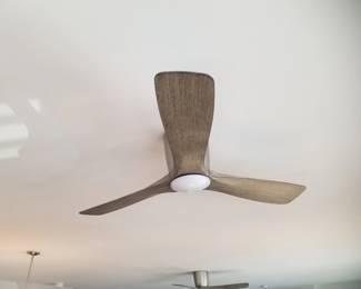 Contemporary lighted ceiling fan