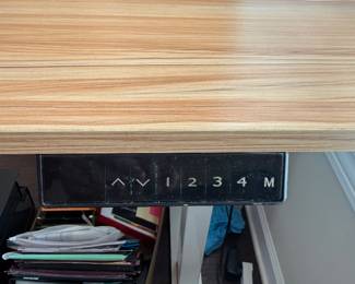 #37 Electric Standing Desk 47x23 $125.00