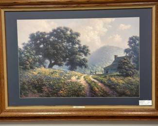 Texas blue bonnets