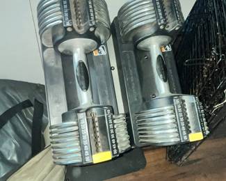 GOLD'S GYM ADJUSTABLE DUMBELLS w/ STAND