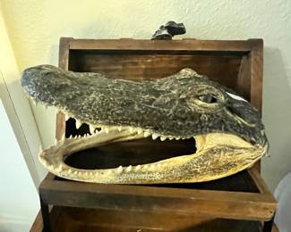 LIKE A SMALL ALLIGATOR HEAD!