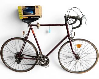 Golden Sport Zebrakenko Bike