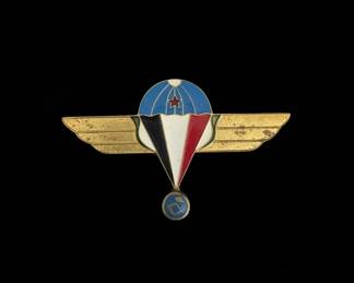 French second Marine Infantry Parachute Regiment Badge