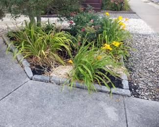 Plants; Belgian blocks