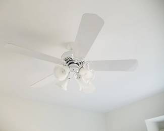 Lighted ceiling fan