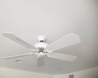 Ceiling fan
