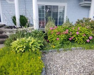 Plants; Belgian blocks; gravel