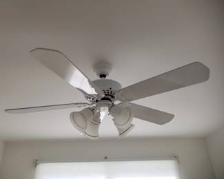 Lighted ceiling fan