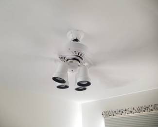 Lighted ceiling fan