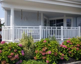 Vinyl railing; plants