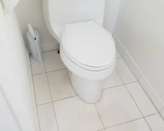 Kohler toilet