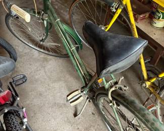 Western Flyer bike