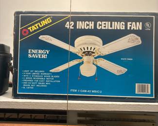 ceiling fan