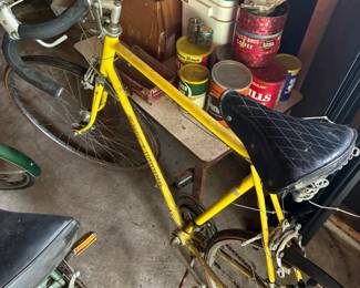 Schwinn bike