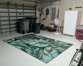 Rug indoor / outdoor $30