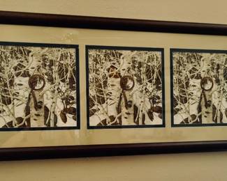 Bev Doolittle signed and with papers