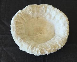 Round White Ribbon Coral