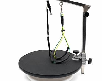 Lot 0908: Rotating Round Pet Grooming Table with Arm and Loops