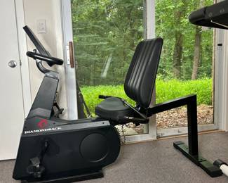 Diamondback Recumbent Exercise Bike