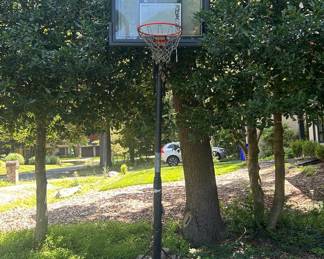 Reebok Portable Basketball System